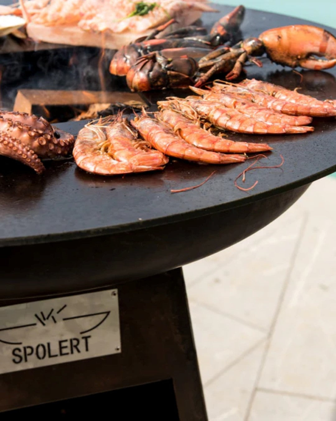 Spolert Saint Tropez Close up